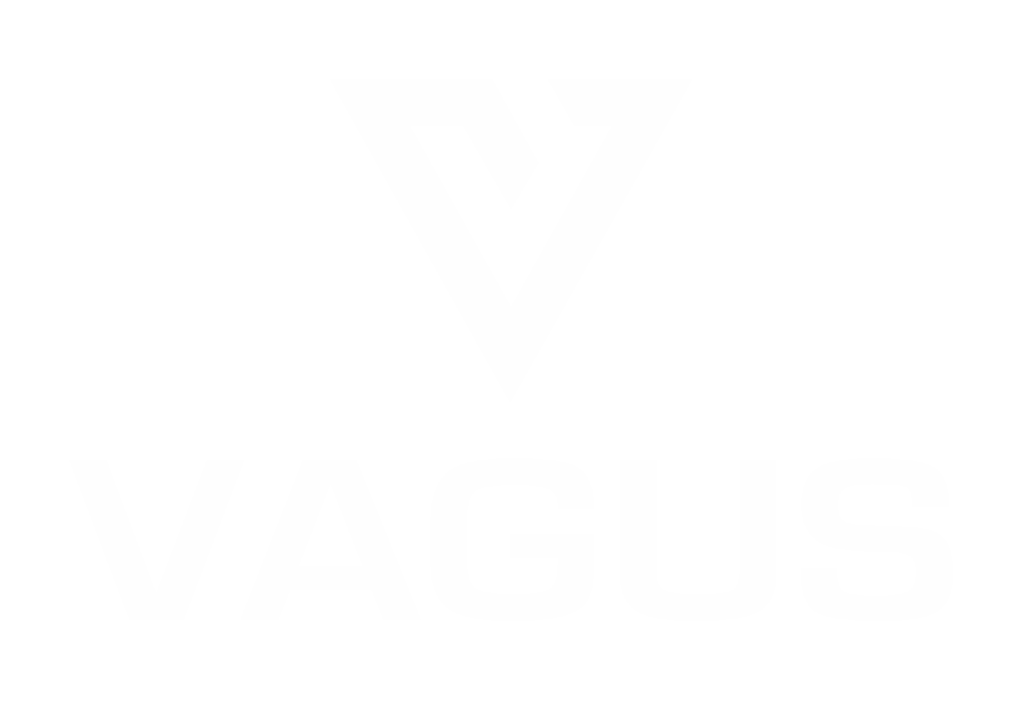 vagus-logo